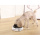 Non Slip Pet Water Food Feeding Bowl